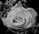 Game Boy Camera photo 10