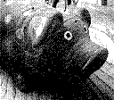 Game Boy Camera photo 13